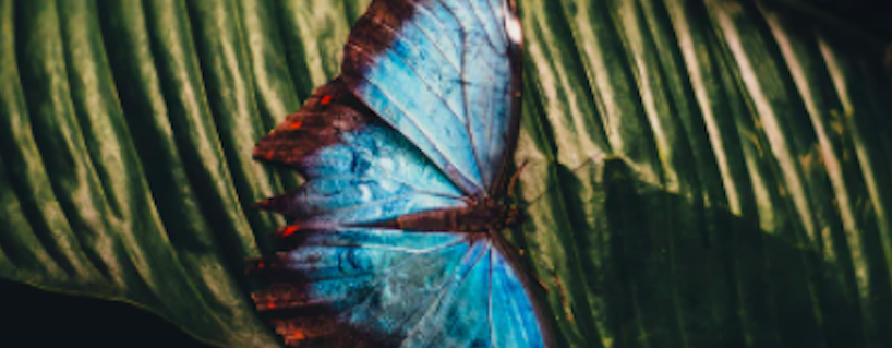 Inbound Transformation